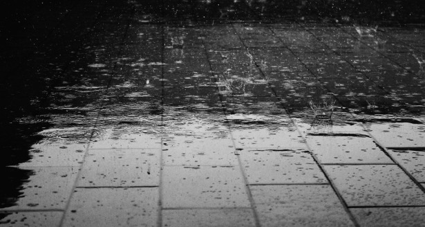 rain-122691_1280.jpg